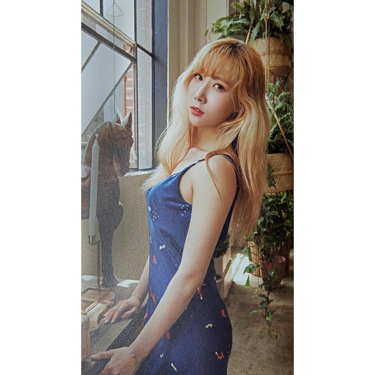 Han Dong