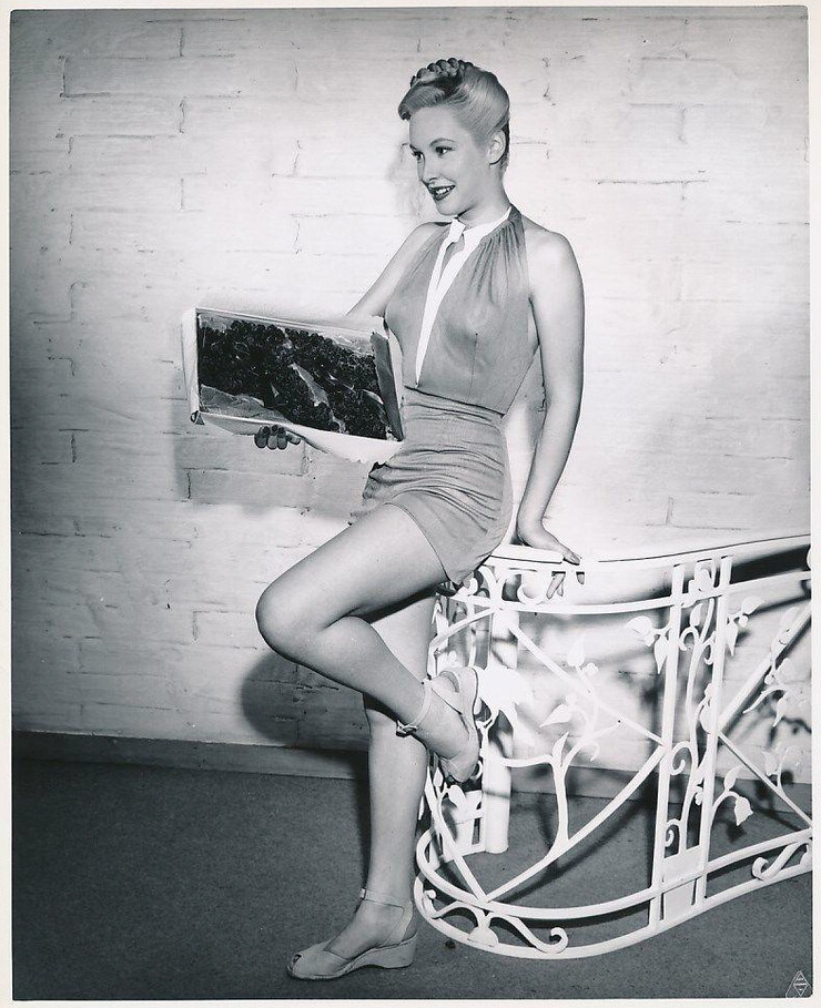 Penny Edwards Penny Edwards