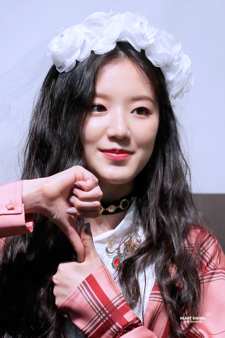 Yeh Shu Hua