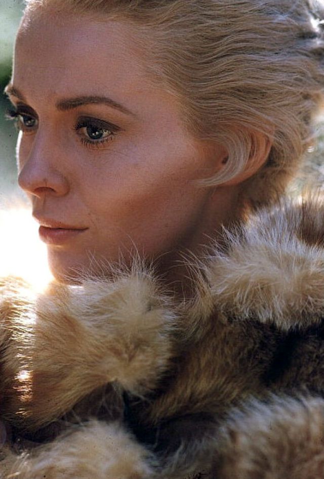 Paint Your Wagon (1969)