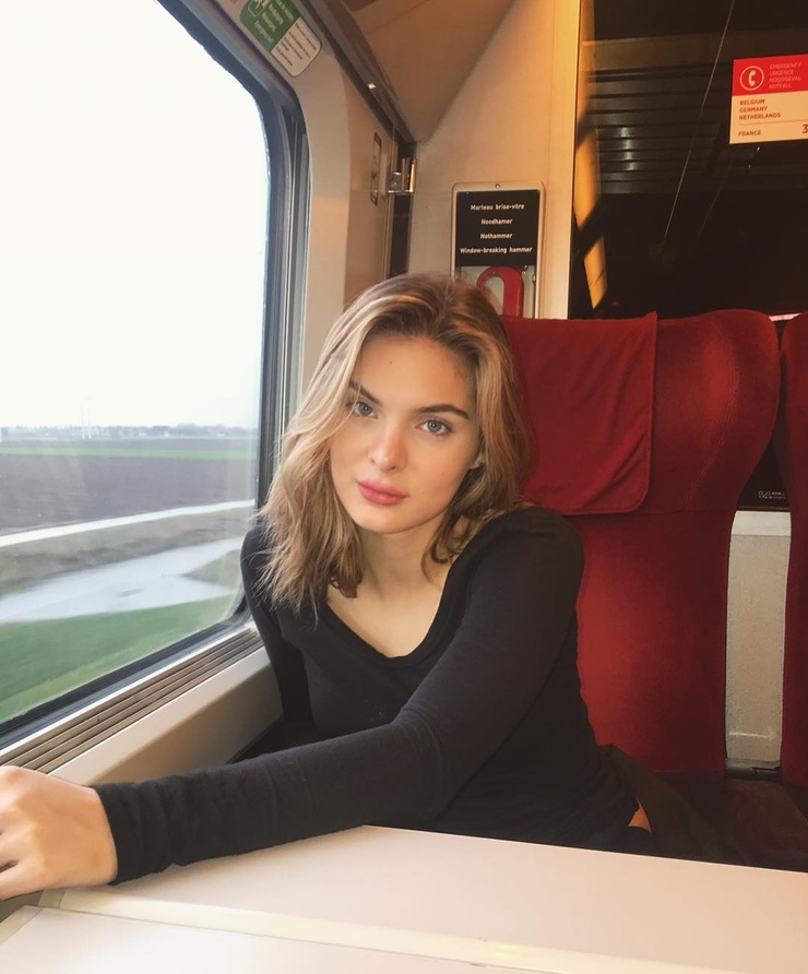 Brighton Sharbino