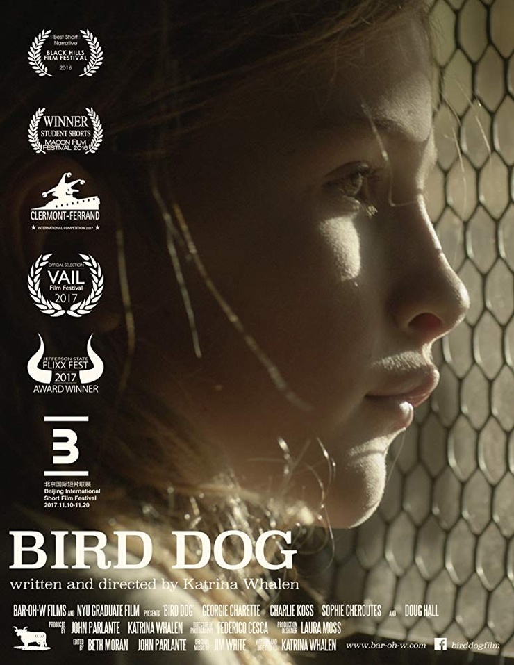 Bird Dog