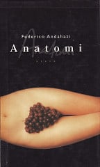 Anatomi