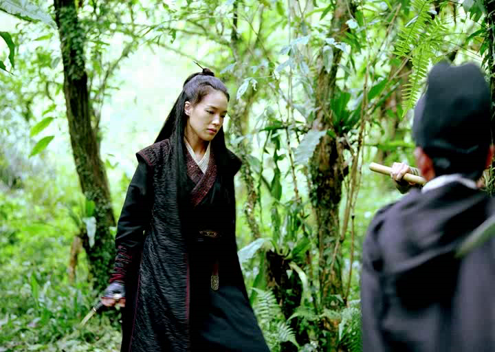 The Assassin