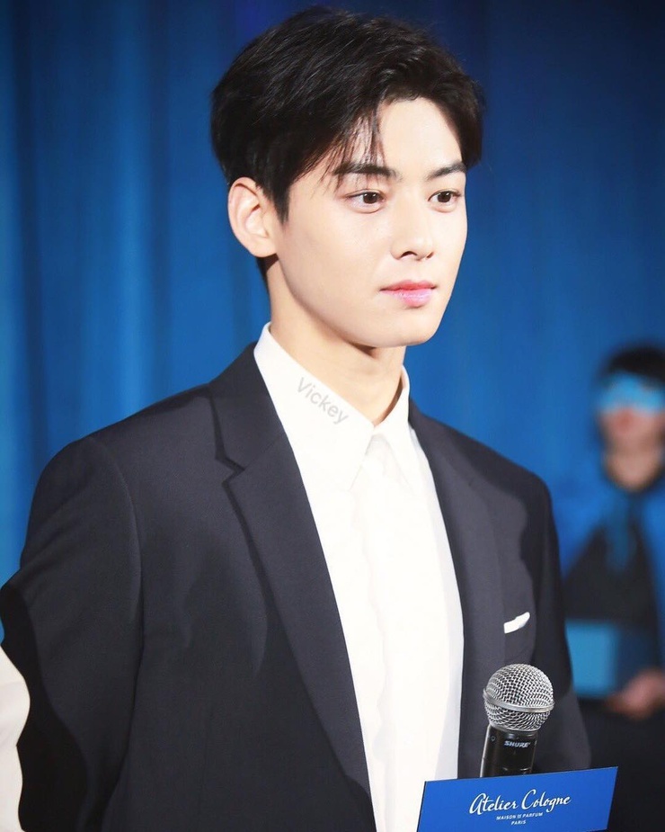 Picture of Cha Eun Woo