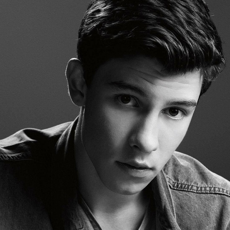 Picture of Shawn Mendes