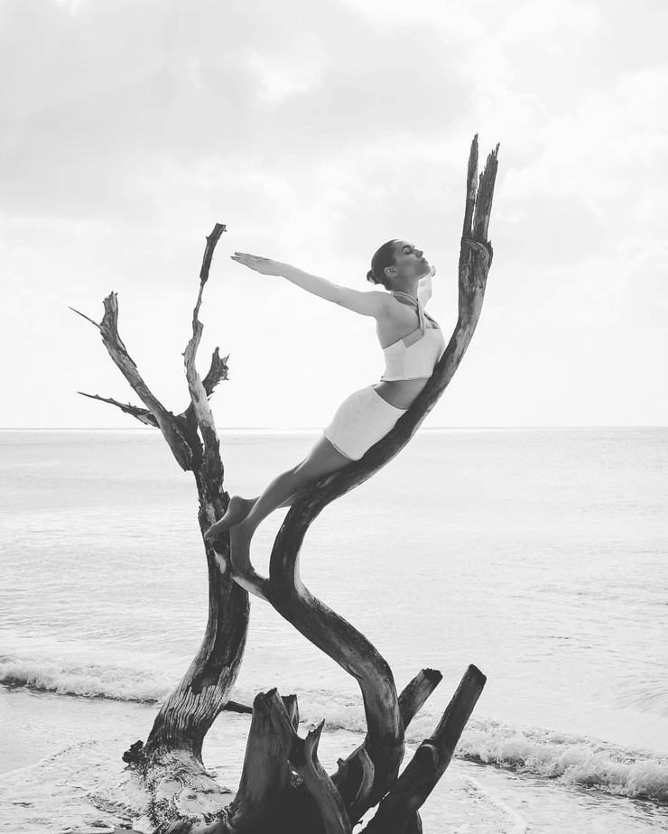 Vita Chambers