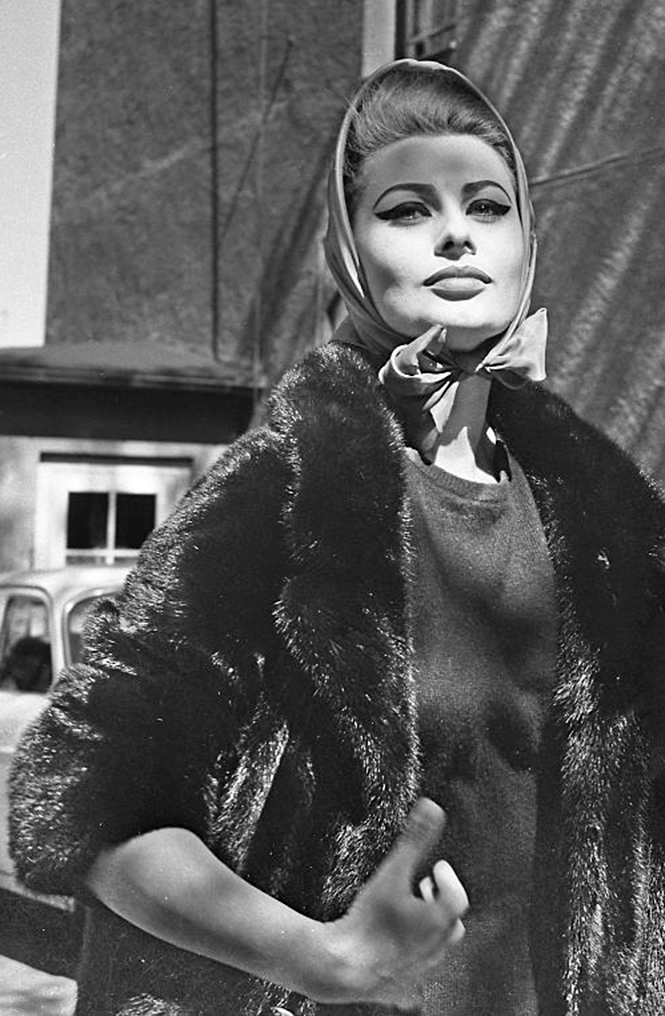 Sophia Loren Sophia Loren