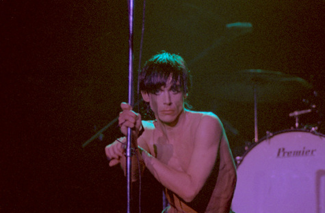 Iggy Pop