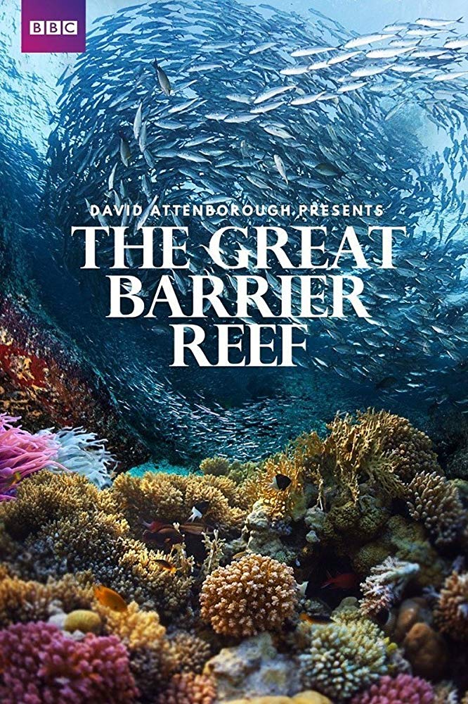 The Great Barrier Reef