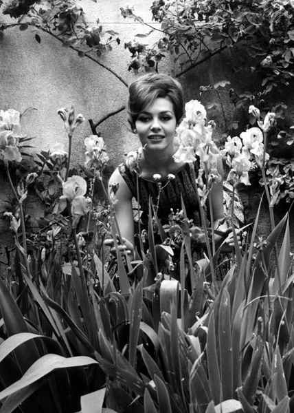 Michèle Mercier Michèle Mercier