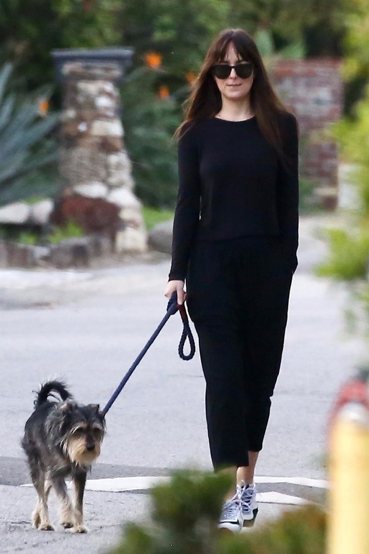 Dakota Johnson