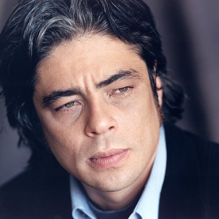 Benicio Del Toro