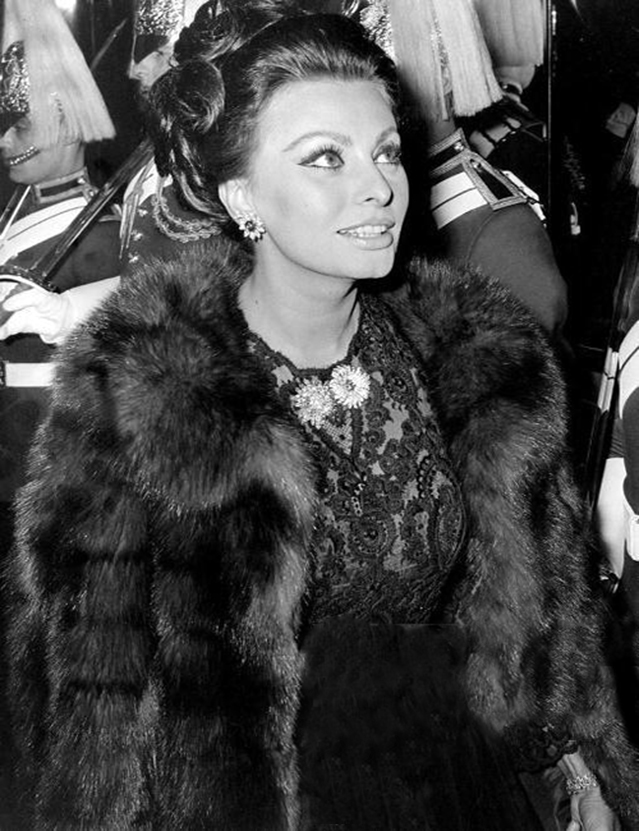 Sophia Loren Sophia Loren