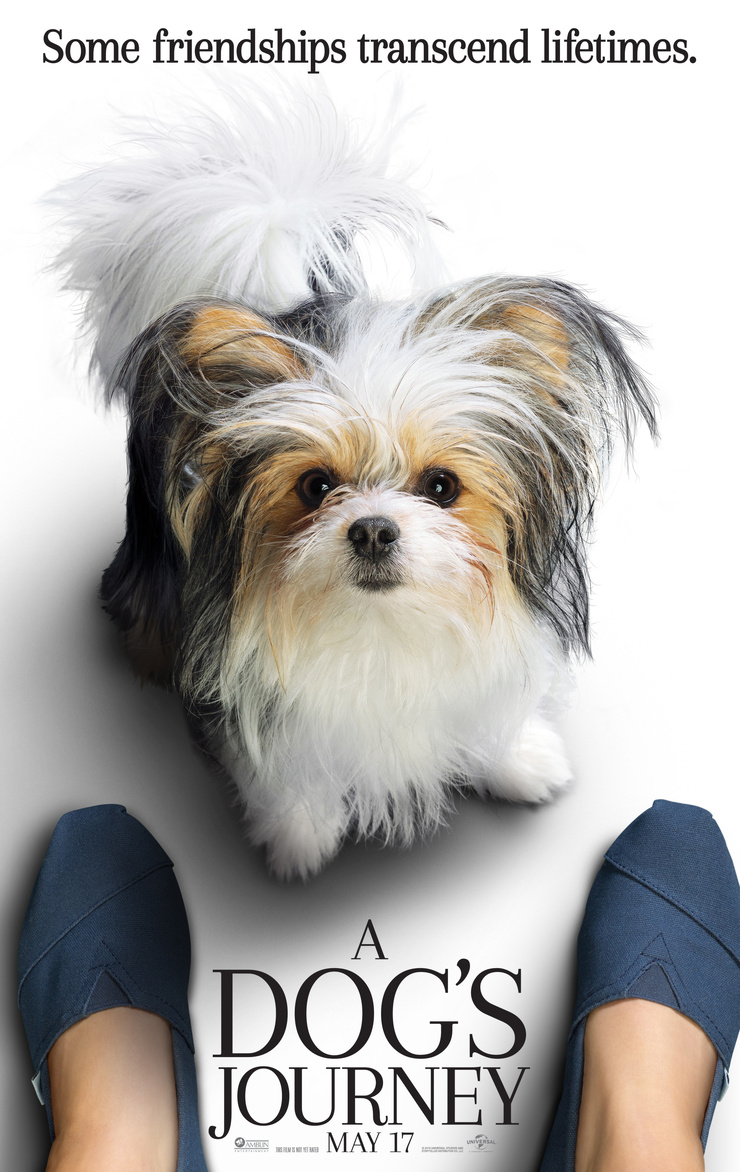 A Dog's Journey A Dog's Journey