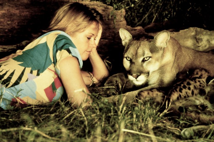 Roar