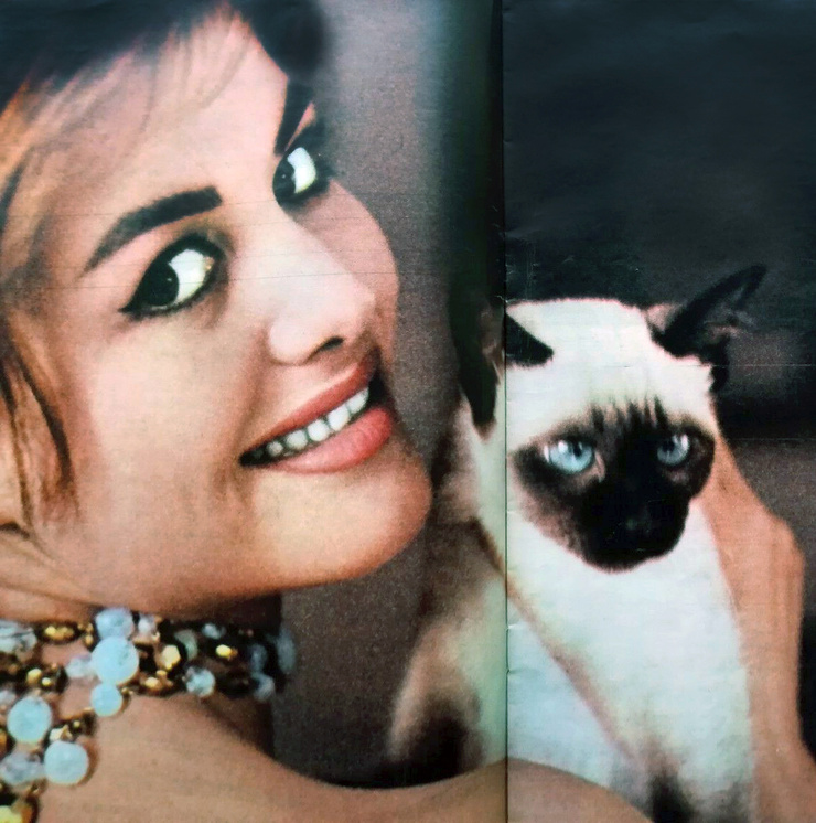 Claudia Cardinale Claudia Cardinale