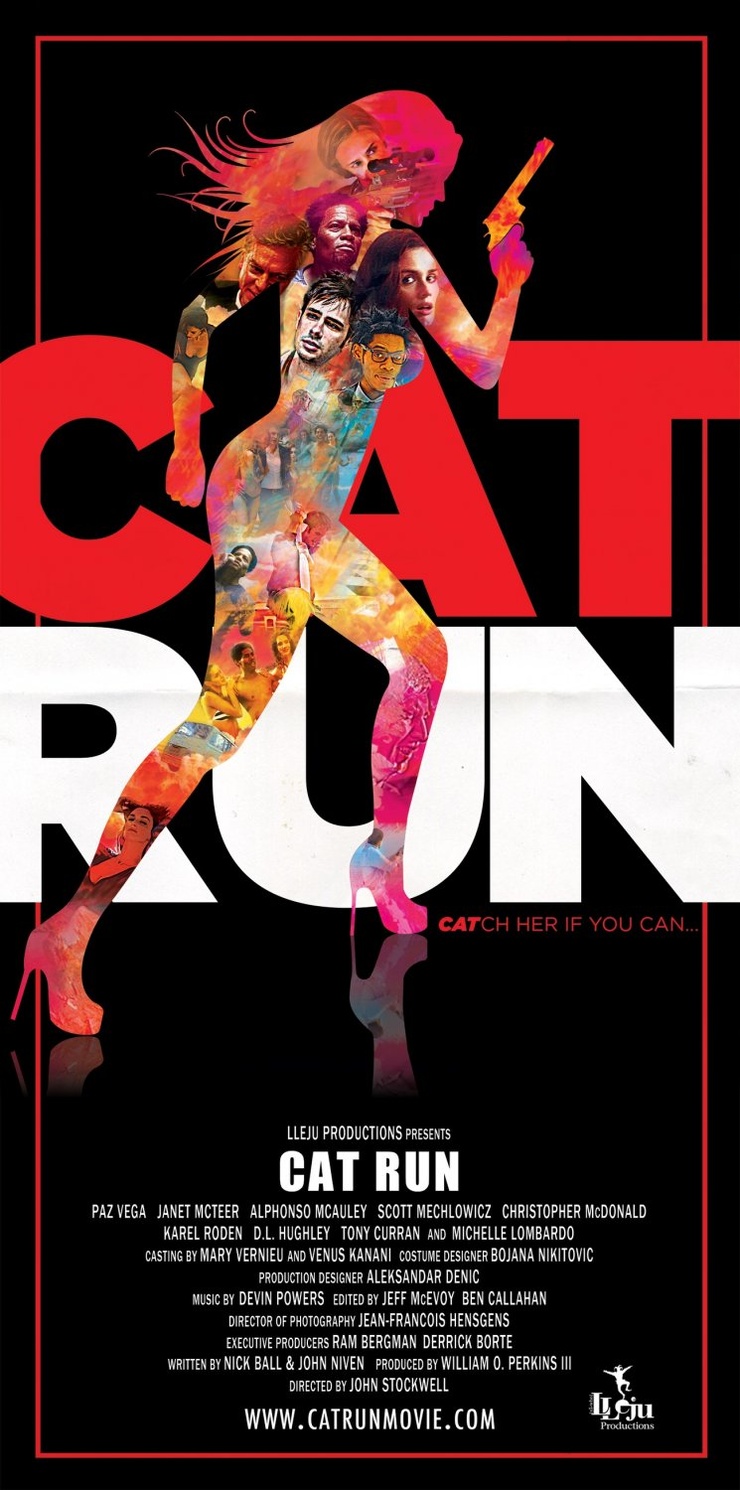 Cat Run Cat Run