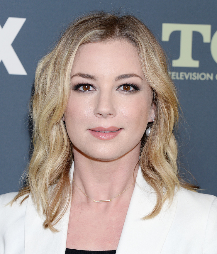 Picture of Emily VanCamp