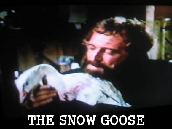 The Snow Goose