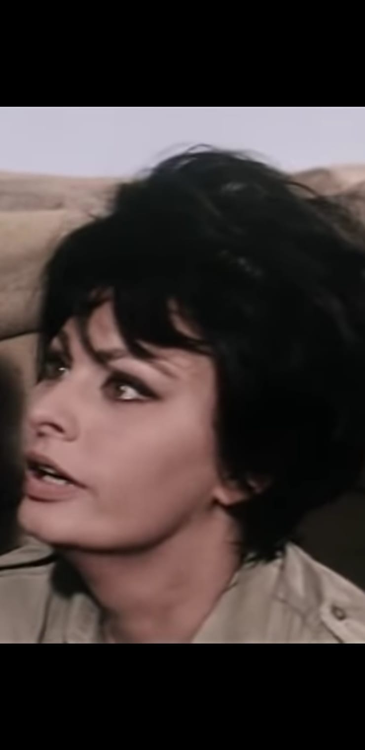 Sophia Loren