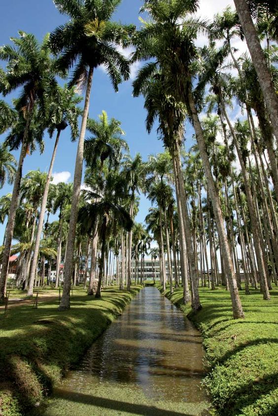 Suriname