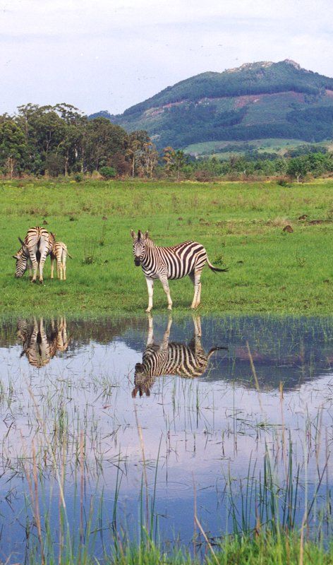 Eswatini