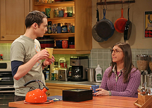 The Big Bang Theory