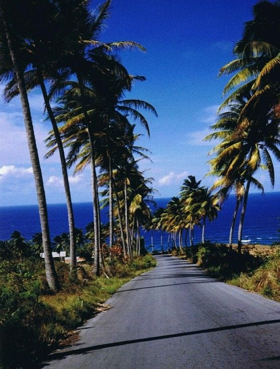 Barbados Barbados