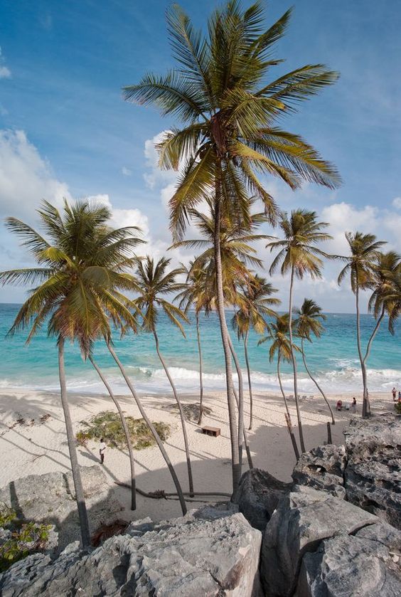 Barbados Barbados