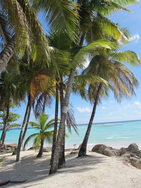 Barbados Barbados