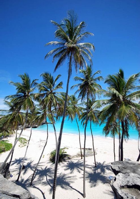 Barbados Barbados