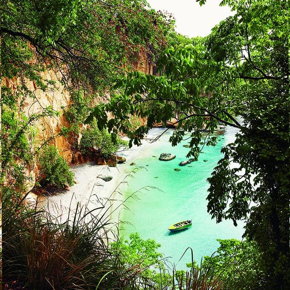 Dominica Dominica