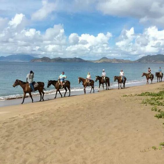 Saint Kitts and Nevis picture