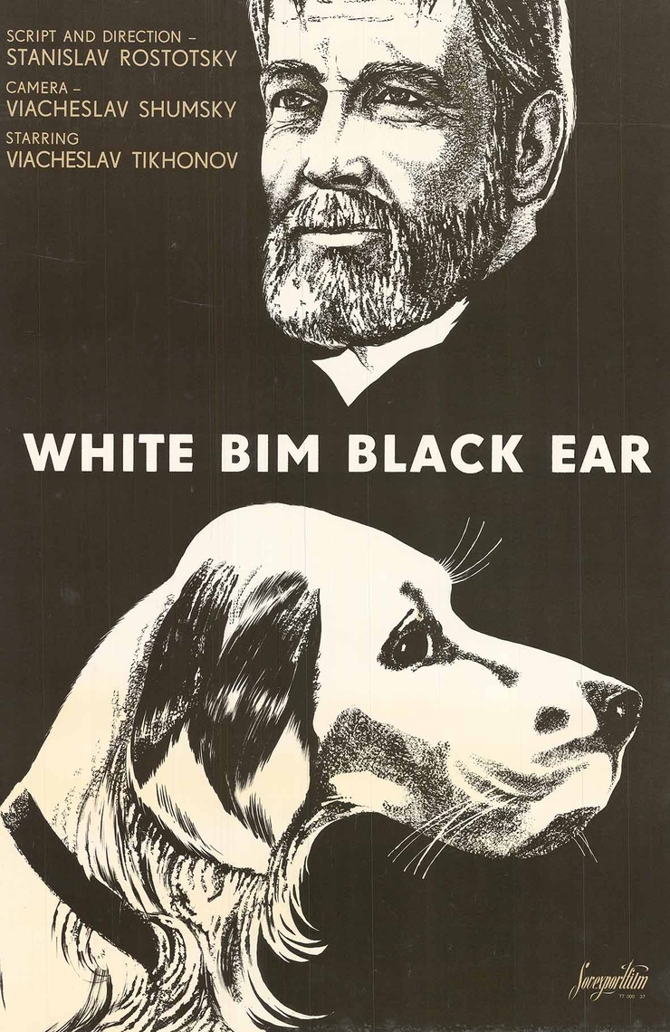 White Bim Black Ear