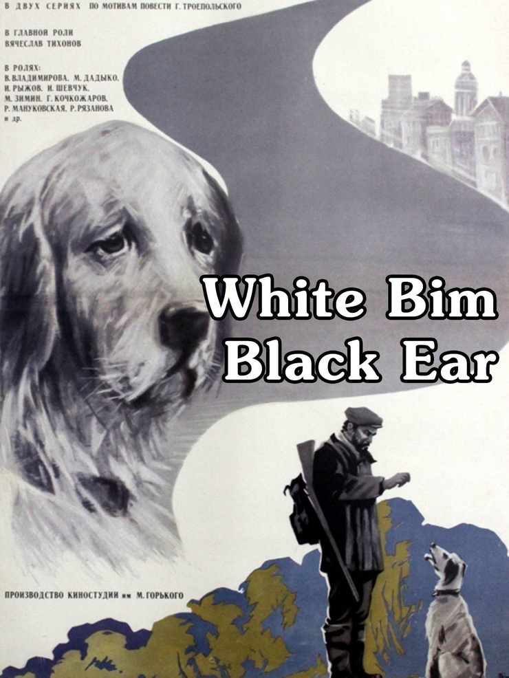 White Bim Black Ear