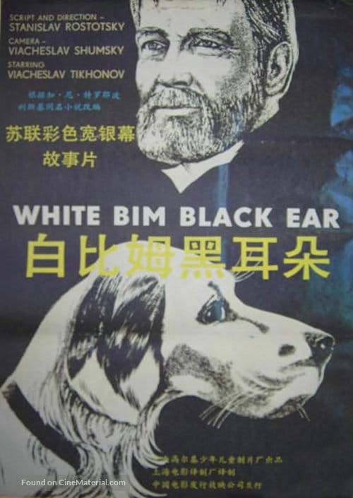 White Bim Black Ear