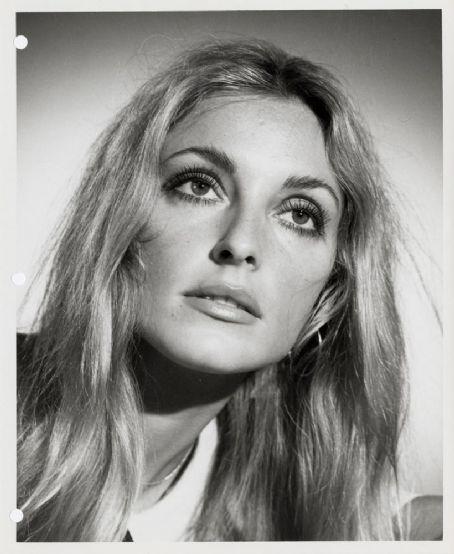 Picture of Sharon Tate