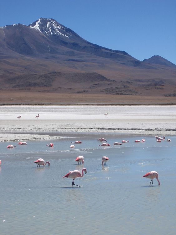 Bolivia