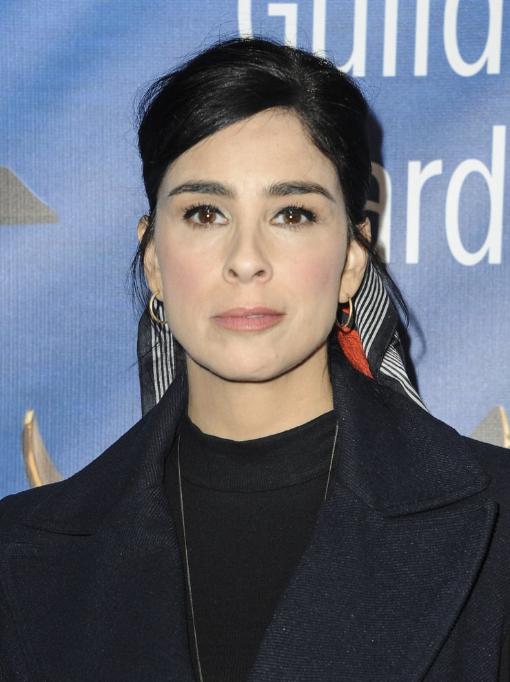 Picture Of Sarah Silverman