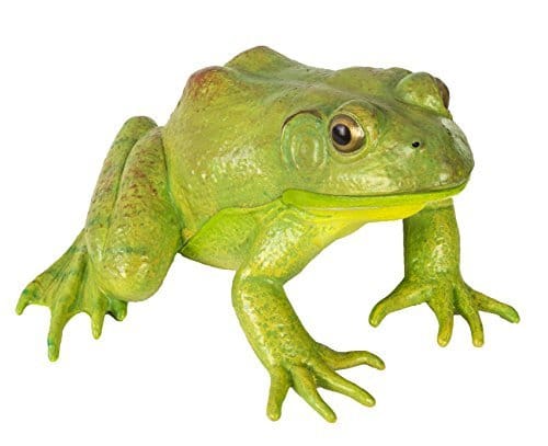 Safari replica American bullfrog