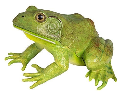 Safari replica American bullfrog