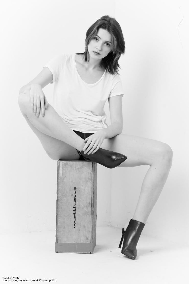 Avalon Phillips