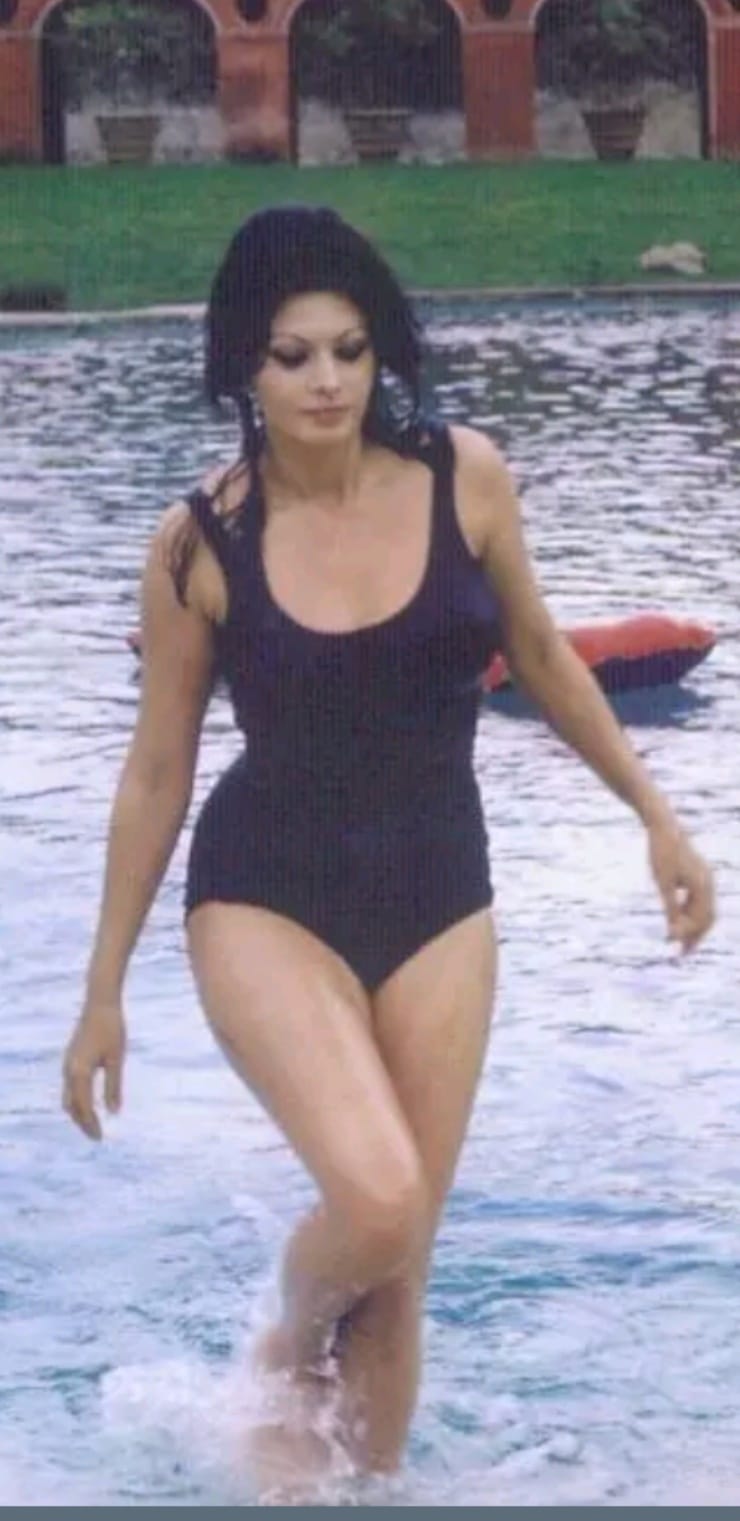 Sophia Loren Sophia Loren