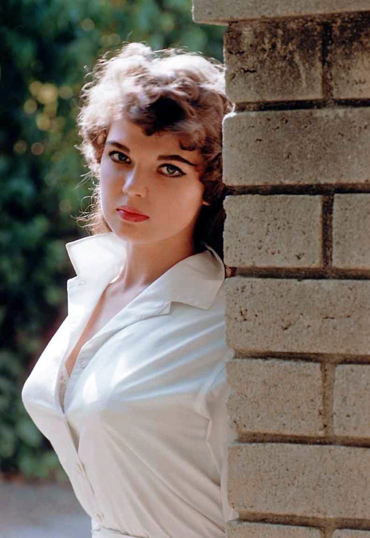 Susie Scott Susie Scott