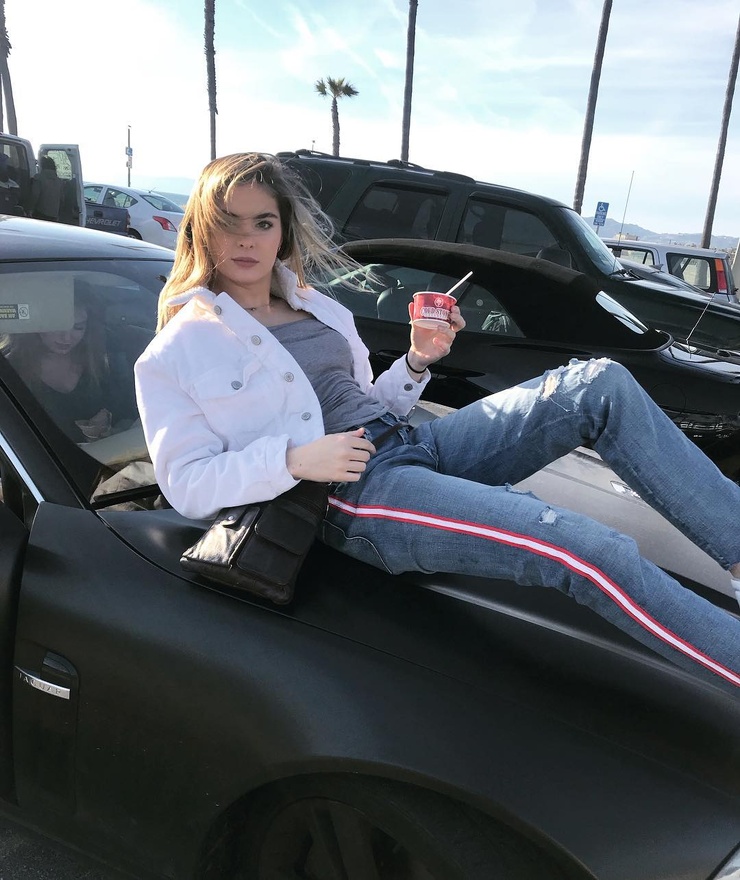 Brighton Sharbino