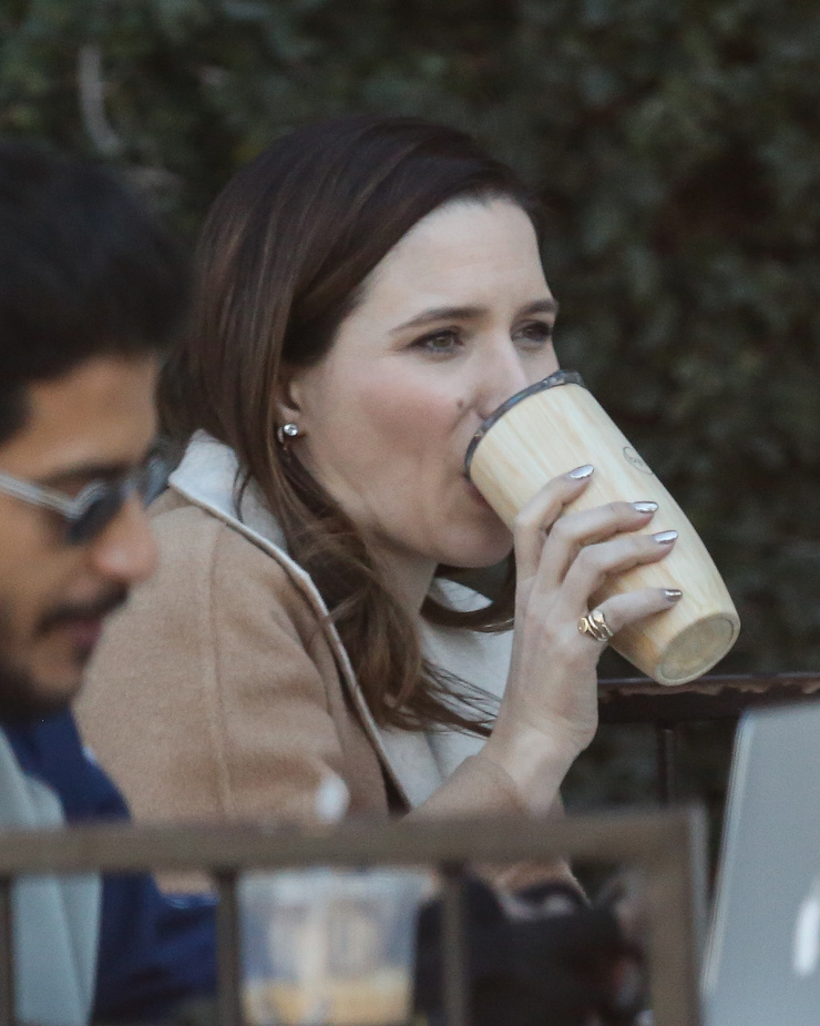 Sophia Bush