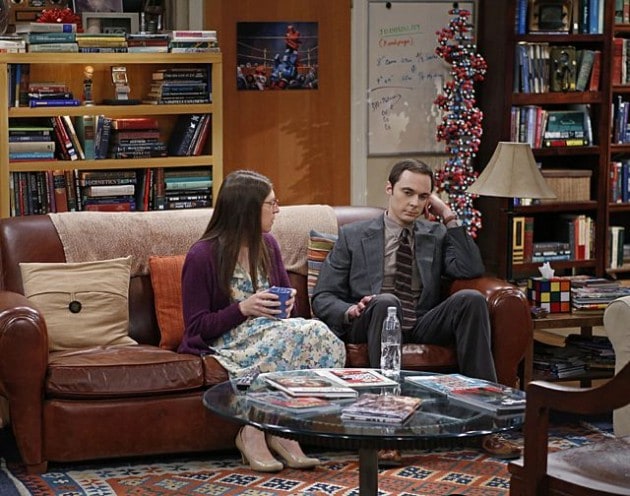 The Big Bang Theory
