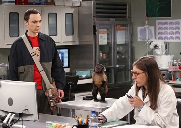 The Big Bang Theory