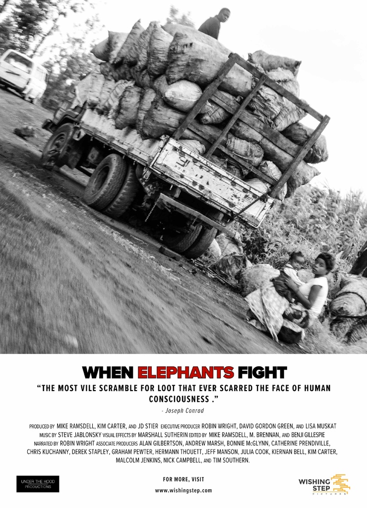When Elephants Fight